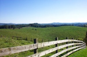 The rolling hills of Floyd County, Virginia (photo courtesy of Jarek Tuszynski / CC-BY-SA & GDFL via Wikimedia Commons 
